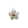 Fleur blanche nacrée